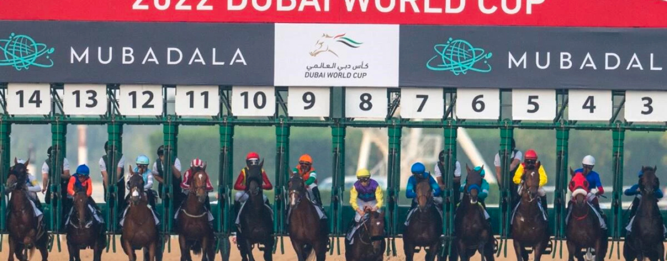 Horses in colourful silks at the starting gates of the Dubai World Cup, March 2022.