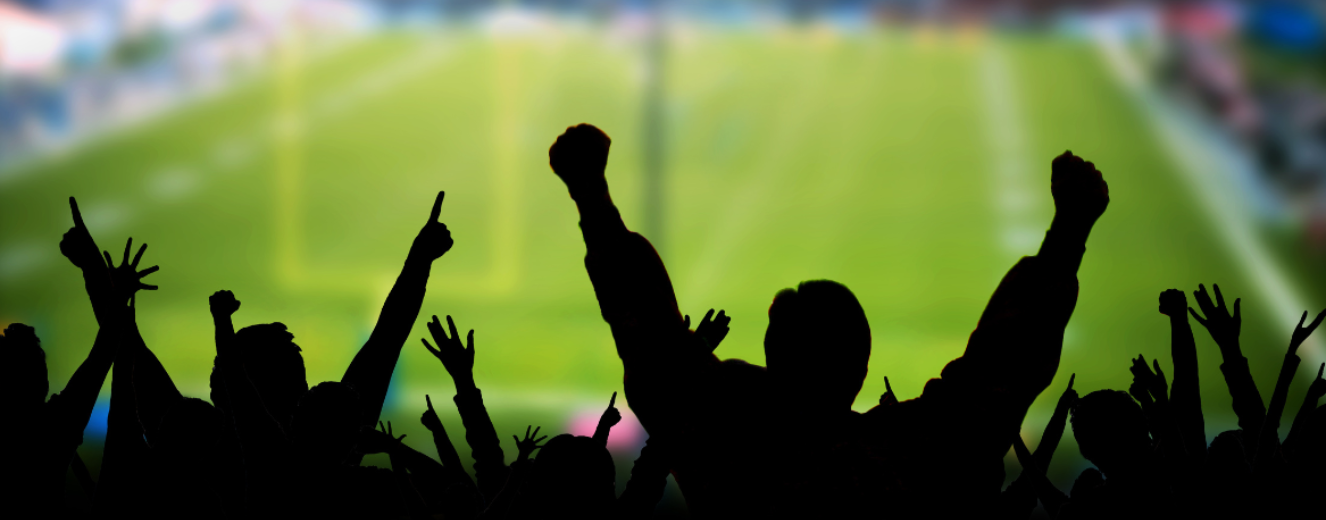 Silhouetted spectators with raised arms celebrate against a blurred green football pitch background.