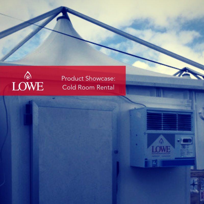 Lowe's cold room rental unit displayed against a cloudy sky, featuring a grey exterior and prominent branding.