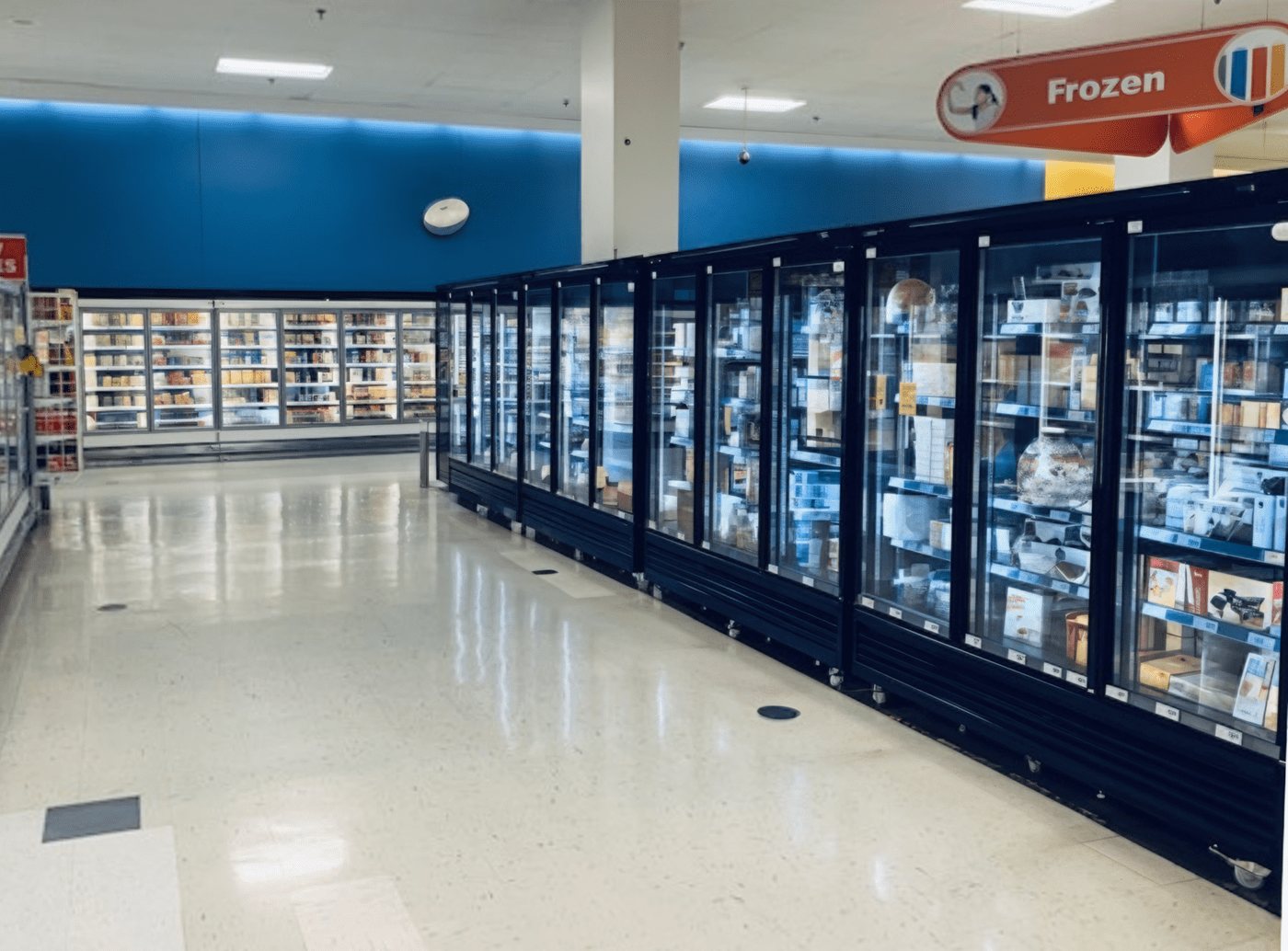 Rows of glass-fronted freezers displaying various products, with a bright blue wall in the background.