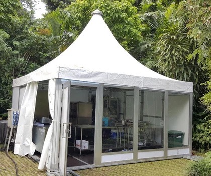 White marquee tent with a peaked roof, surrounded by lush greenery and outdoor setting.