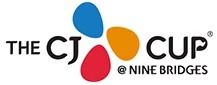 Colourful logo featuring blue, orange, and red shapes, with text "THE CJ CUBE @ NINE BRIDGES".